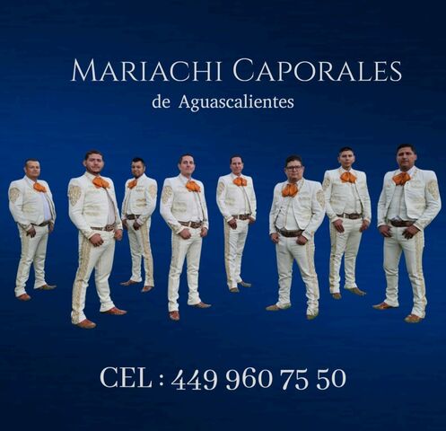 Mariachi caporales de ags 4499607550